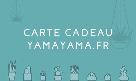 Carte cadeau YAMAYAMA