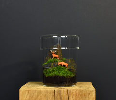 TERRARIUM ZAŌ