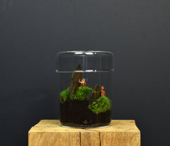 TERRARIUM ZAŌ