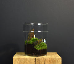 TERRARIUM ZAŌ