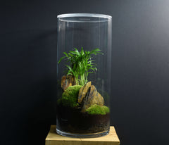 TERRARIUM NYU