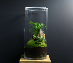 TERRARIUM NYU