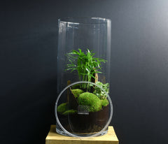 TERRARIUM NYU