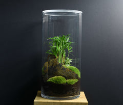 TERRARIUM NYU