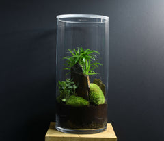 TERRARIUM NYU