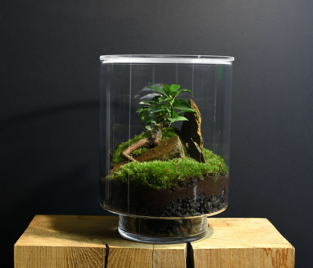 Aucun accessoire Terrarium, Terrarium Miniatures, de mains