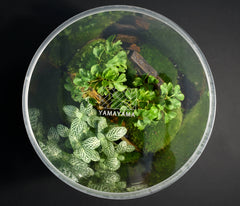 TERRARIUM YOKO