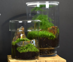 TERRARIUM ZAŌ