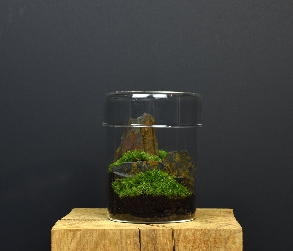 TERRARIUM ZAŌ