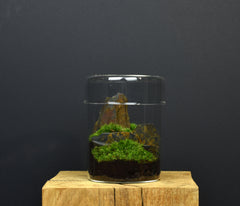 TERRARIUM ZAŌ