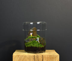 TERRARIUM ZAŌ