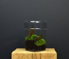 TERRARIUM ZAŌ