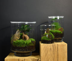 TERRARIUM ZAŌ